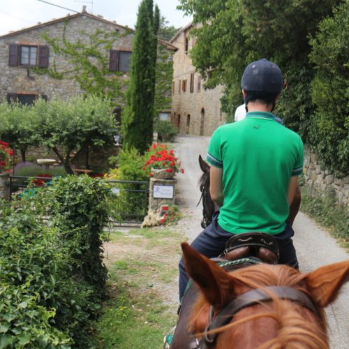 casteluccio-di-trinoro-cavallo