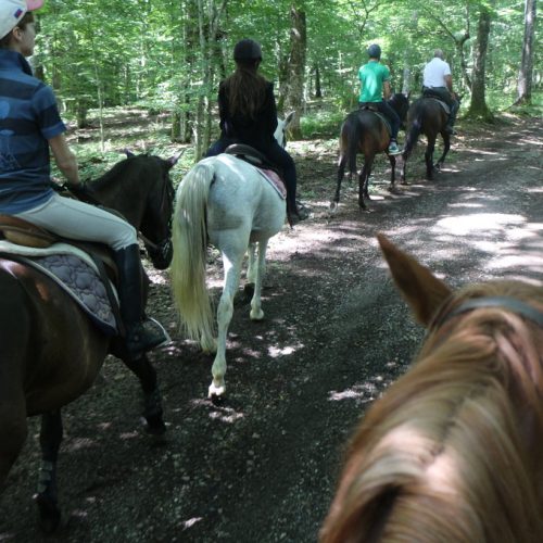 cavallo-val-orcia