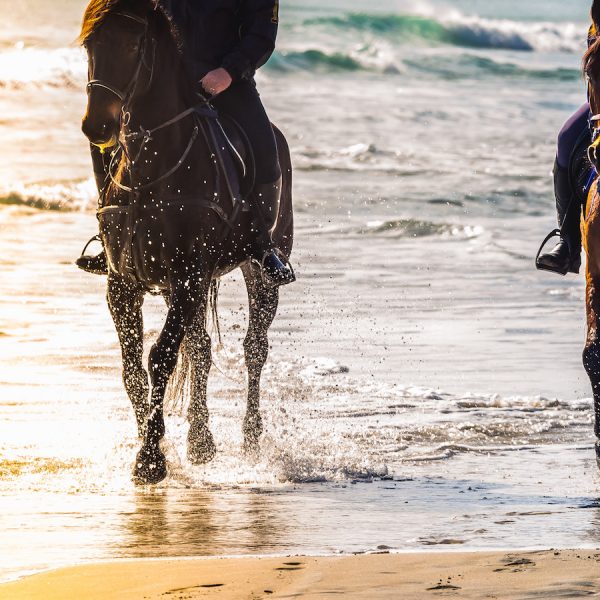 Horseback riding in Tuscany: the most exclusive excursions to discover the Maremma, Chianti and more
