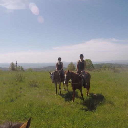 saturnia-horse