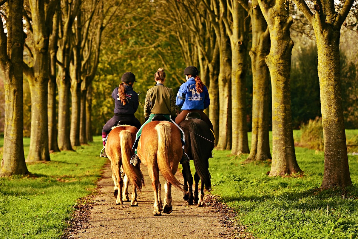 unusual things to do in tuscany horse